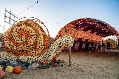 Etobikola, Toronto 'daki Pumpkinville' de balkabağı heykelleri. Toronto, Kanada - 19 Ekim 2024.