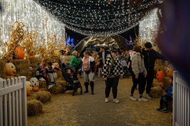 Toronto 'daki Pumpkinville' de Cadılar Bayramı ışığı fuarı. Toronto, Kanada - 19 Ekim 2024.