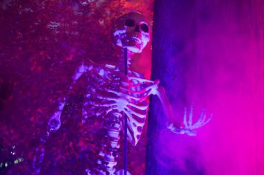 Bir evin önünde aydınlatılmış Cadılar Bayramı süslemeleri.