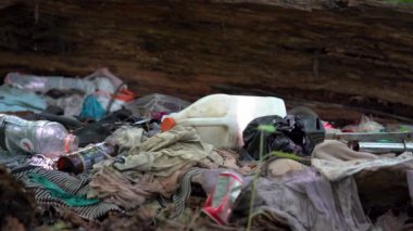 4K ormanında plastik atık