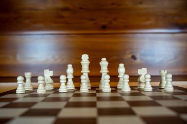 Satranç tahtasındaki parçalar.