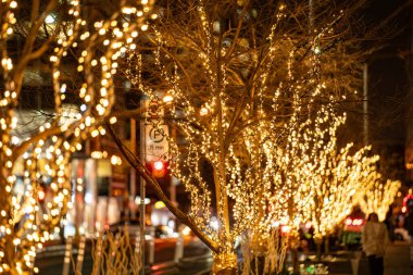 Akşam saatlerinde şehirde Noel ışıkları.