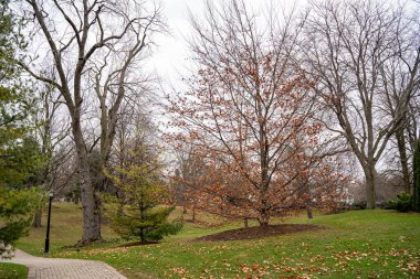 Niagara-on-the-Lake kasabasındaki Simcoe Park manzarası.