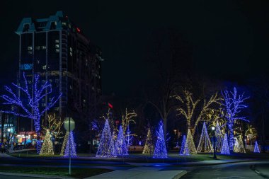 Niagara Şelaleleri 'nde Kış Işık Festivali. Kış Işıklar Festivali Kanada 'nın en büyük ışık festivali. Niagara Şelalesi, Kanada - 24 Aralık 2024.