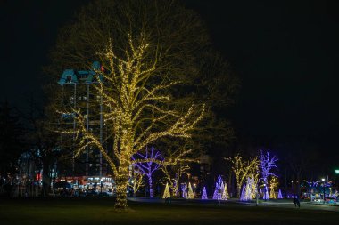 Niagara Şelaleleri 'nde Kış Işık Festivali. Kış Işıklar Festivali Kanada 'nın en büyük ışık festivali. Niagara Şelalesi, Kanada - 24 Aralık 2024.