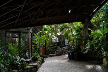 Interior view of the Indo Malaya Pavilion at the Toronto Zoo. Toronto, Canada - December 25, 2024. clipart