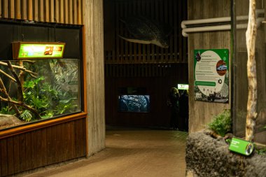 Toronto Hayvanat Bahçesi 'ndeki Amerika Pavyonu' nun iç manzarası. Toronto, Kanada - 25 Aralık 2024.