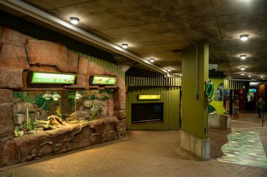 Toronto Hayvanat Bahçesi 'ndeki Amerika Pavyonu' nun iç manzarası. Toronto, Kanada - 25 Aralık 2024.