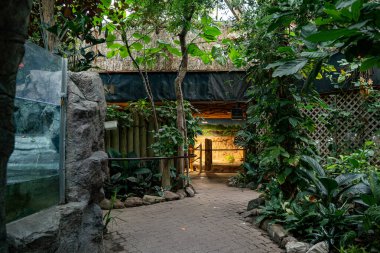 Toronto Hayvanat Bahçesi 'ndeki Amerika Pavyonu' nun iç manzarası. Toronto, Kanada - 25 Aralık 2024.