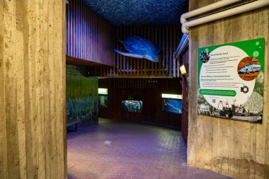 Toronto Hayvanat Bahçesi 'ndeki Amerika Pavyonu' nun iç manzarası. Toronto, Kanada - 25 Aralık 2024.