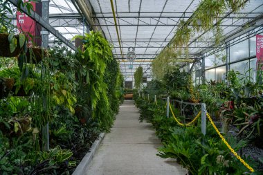 Toronto Hayvanat Bahçesi 'ndeki seranın iç manzarası. Toronto, Kanada - 25 Aralık 2024.