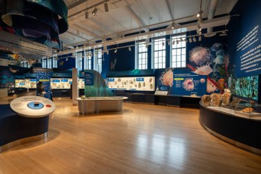 Toronto 'daki Royal Ontario Müzesi' nin (ROM) iç manzarası. Kraliyet Ontario Müzesi bir sanat, dünya kültürü ve doğa tarihi müzesidir. Toronto, Kanada - 2 Ocak 2025.