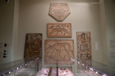 Toronto 'daki Royal Ontario Müzesi' nin (ROM) iç manzarası. Kraliyet Ontario Müzesi bir sanat, dünya kültürü ve doğa tarihi müzesidir. Toronto, Kanada - 2 Ocak 2025.