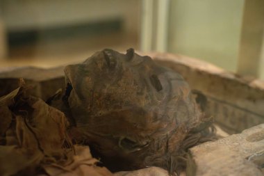 Antjau 'nun annesiyle Royal Ontario Müzesi' nde. Toronto, Kanada - 2 Ocak 2025.