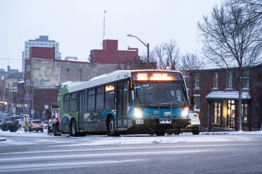 Guelph Transit 'in Guelph, Ontario' daki kış otobüsünün görüntüsü. Guelph, Kanada - 2 Ocak 2025.