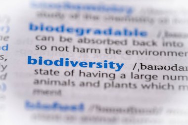 Bir sözlükte biyolojik çeşitlilik kelimesi. Seçici odak, kapat.
