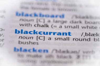 Sözlükte kuşüzümü kelimesi var. Seçici odak, kapat.