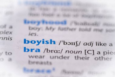 Sözlükte çocuksu bir kelime. Seçici odak, kapat.