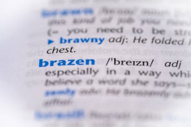 Sözlükte küstahça bir kelime. Seçici odak, kapat.