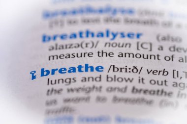 Sözlüğe kelime üfle. Seçici odak, kapat.