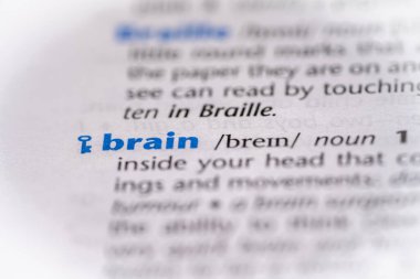 Sözlükteki beyin kelimesi. Seçici odak, kapat.