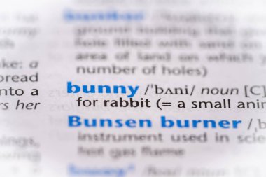 Sözlükte tavşan kelimesi var. Seçici odak, kapat.