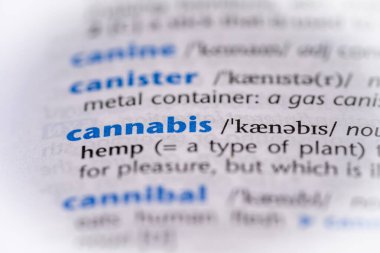 Bir sözlükte esrar kelimesi. Seçici odak, kapat.