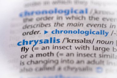 Sözlükte krizalit kelimesi var. Seçici odak, kapat.