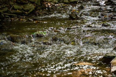 Nehirdeki suyun manzarasını kapat.