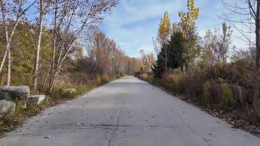 Toronto 'daki Tommy Thompson Parkı' nın görüntüsü