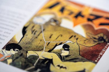 Çizgi romandaki Bat-Manga. Toronto, Kanada - 29 Ocak 2025.