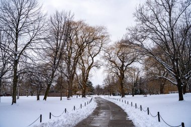Toronto Adaları 'nın karla kaplı kış manzarası.