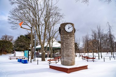 Toronto Adaları 'nın karla kaplı kış manzarası.