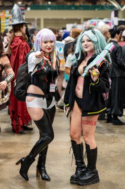 Toronto Comicon 'da Cosplayers. Toronto, Kanada - 14 Mart 2025.