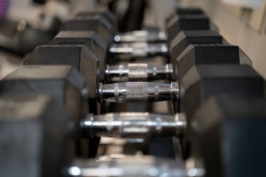 Spor salonundaki dambılların görüntüsü.