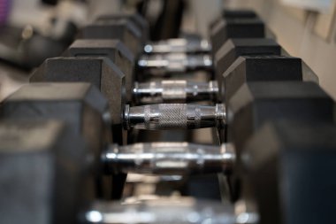 Spor salonundaki dambılların görüntüsü.