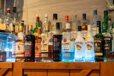 Bir bar rafında çeşitli içki şişeleri. Toronto, Kanada - 8 Şubat 2025.