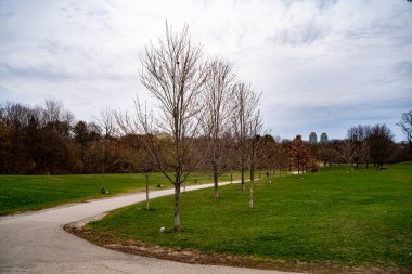 Toronto 'daki Cedarvale Park manzarası.
