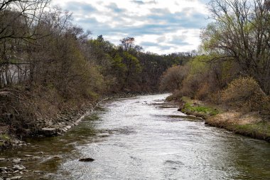 Toronto 'daki Humber Nehri manzarası.