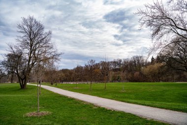 Toronto 'daki Raymore Park Manzarası.