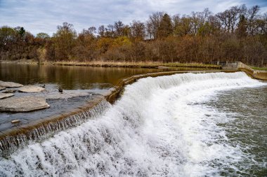 Toronto 'daki Humber Nehri manzarası.