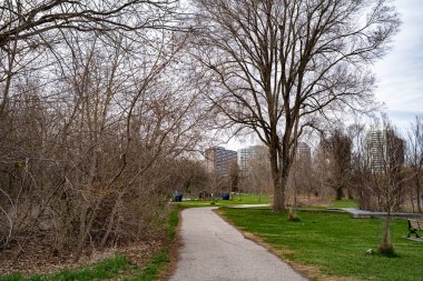 Toronto 'daki Raymore Park Manzarası.