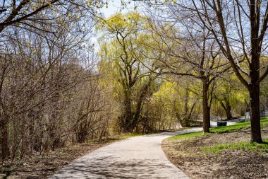 Toronto 'daki Smythe Park manzarası.