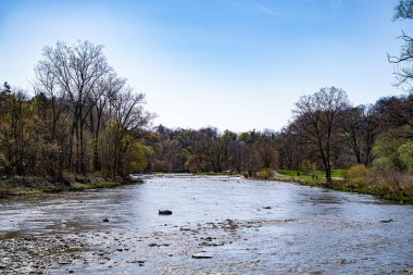 Toronto 'daki Etienne Brule Park ve Humber Nehri manzarası.