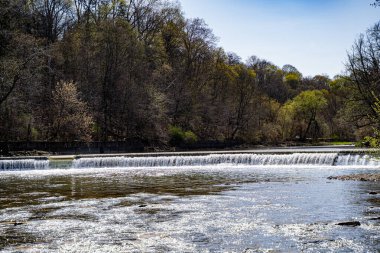 Toronto 'daki Etienne Brule Park ve Humber Nehri manzarası.