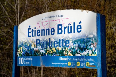 Toronto 'daki Etienne Brule Park manzarası. Toronto, Kanada - 29 Nisan 2025.