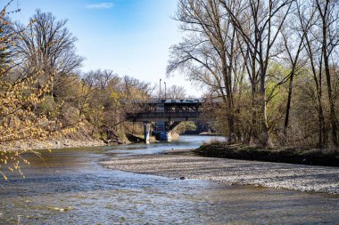 Toronto 'daki Etienne Brule Park ve Humber Nehri manzarası.