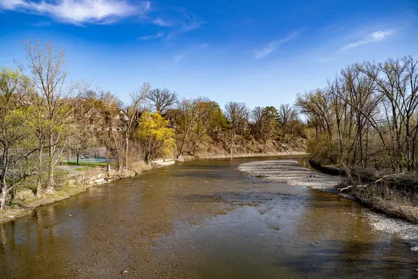 Toronto 'daki Etienne Brule Park ve Humber Nehri manzarası.