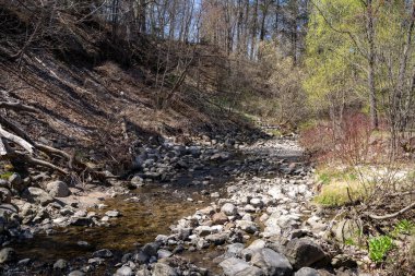 Toronto 'daki Wilket Creek Park Eğlence Patikası.