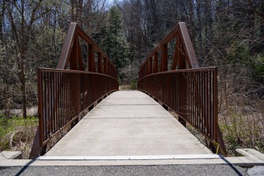 Toronto 'daki Wilket Creek Park Eğlence Patikası.